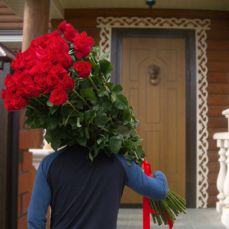 Букет 25 голландских метровых роз 