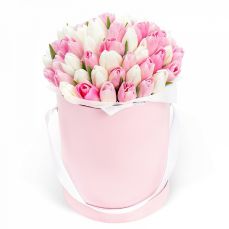 Коробка квітів Ніжність тюльпанів